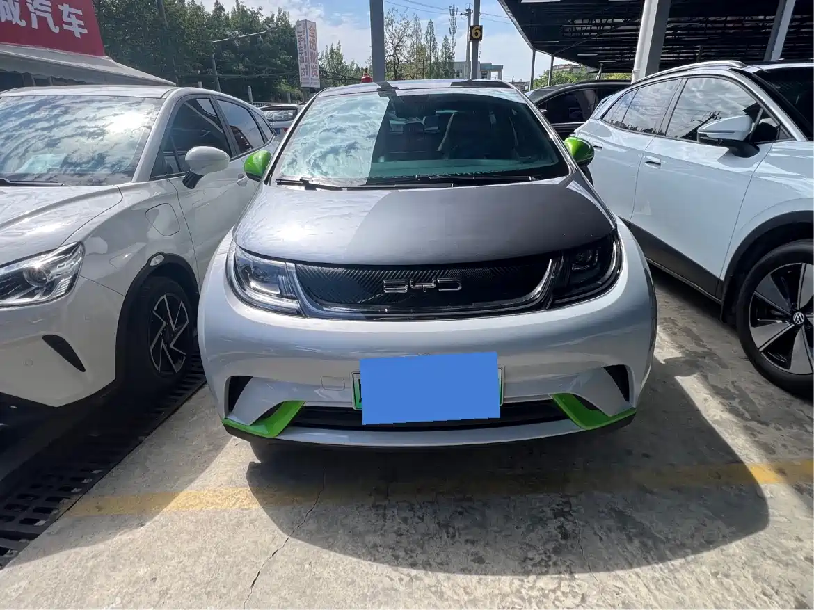 BYD Dolphin 2021 Model 405km Fashion Edition фото 2