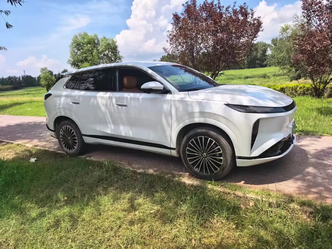 Dongfeng Aeolus L8 2025 2025 Plug-in Hybrid