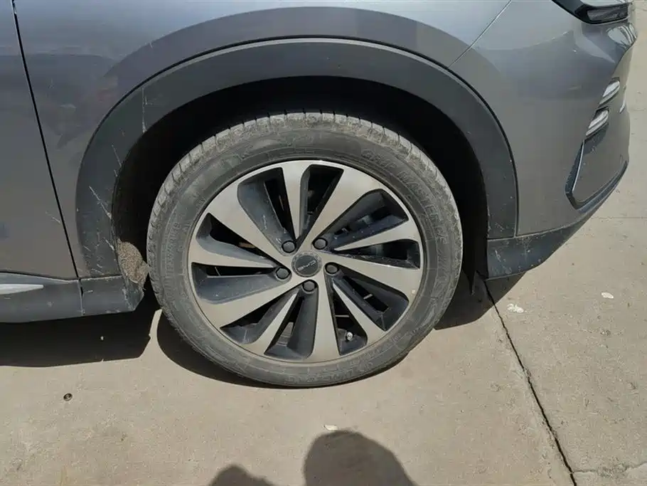 BYD Song PLUS PHEV 2024 Glory Edition DM-i 110km Flagship фото 6