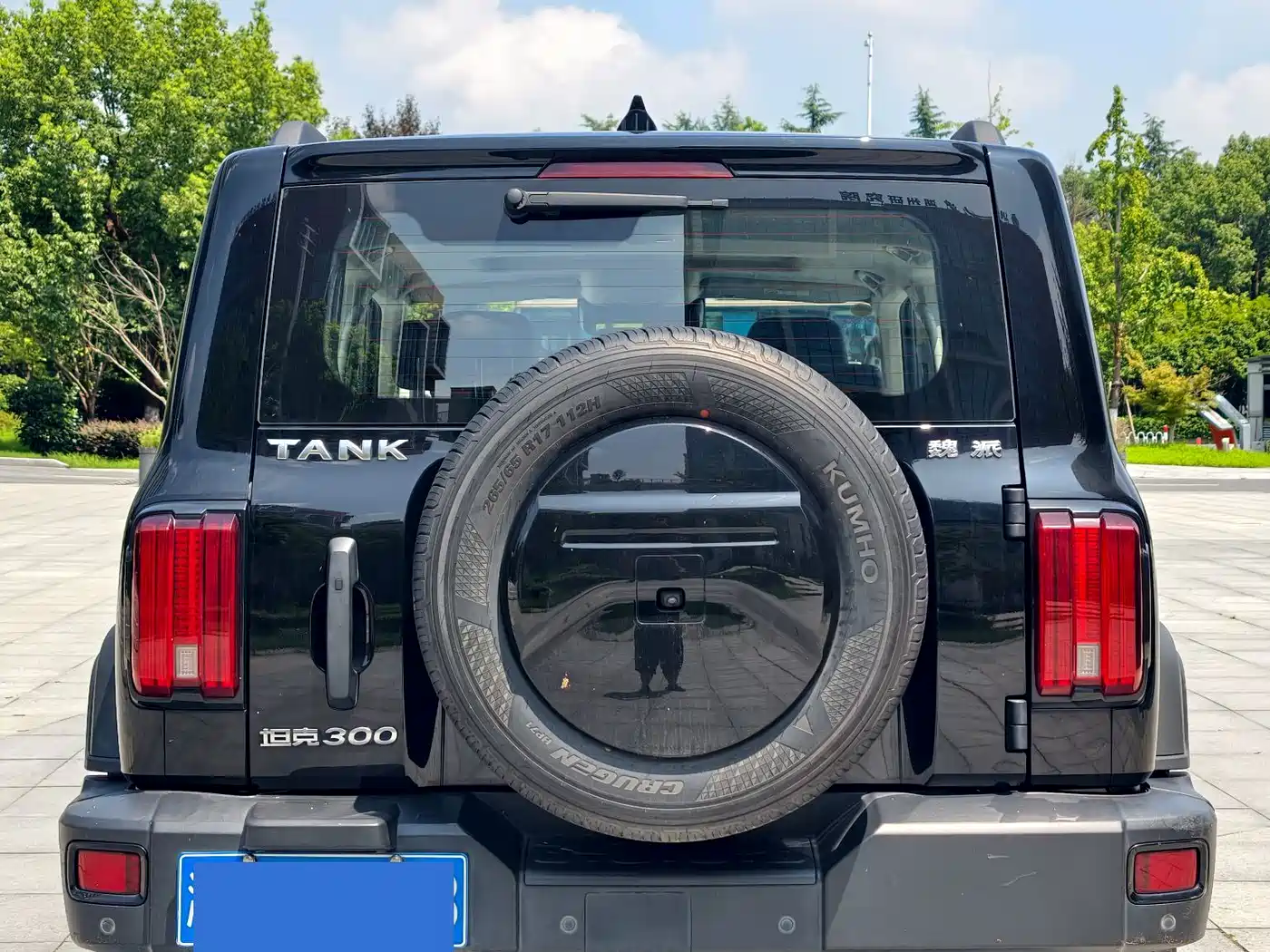 Tank 300 2021 2021 Off-road Version 2.0T Conqueror