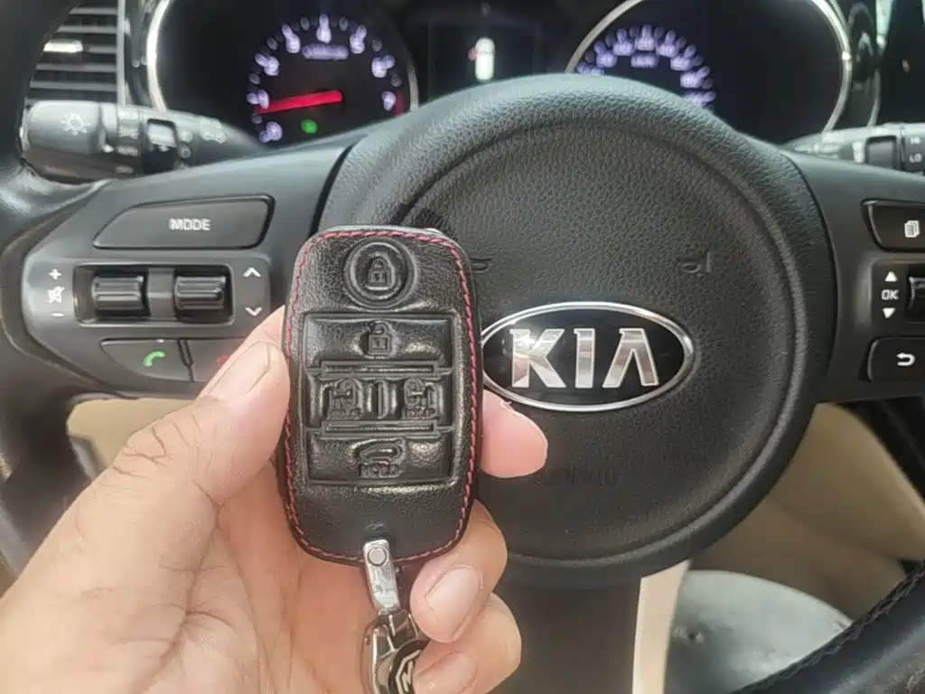Фото 9 - Kia Carnival (Import)