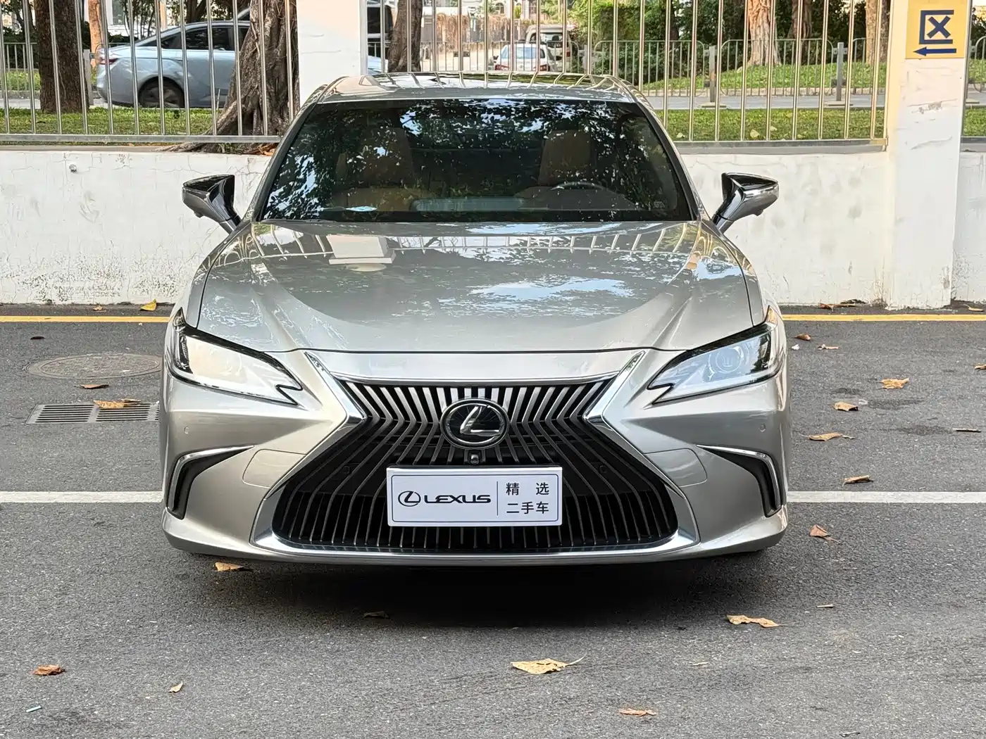Lexus ES 2018 200 Luxury Edition China V фото 3