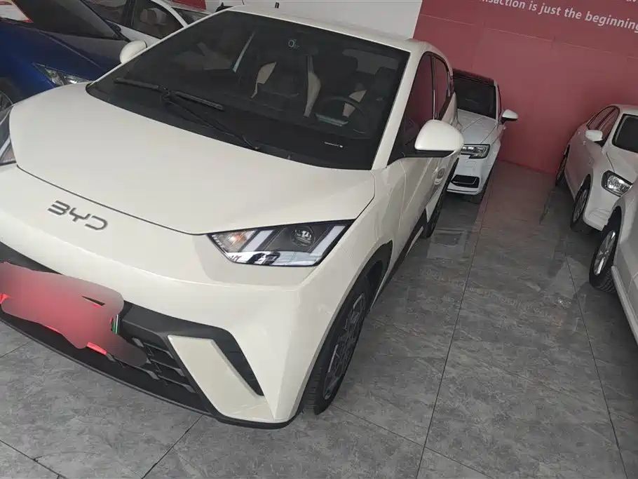 BYD Seagull 2024 Glory Edition 305km Freedom Edition