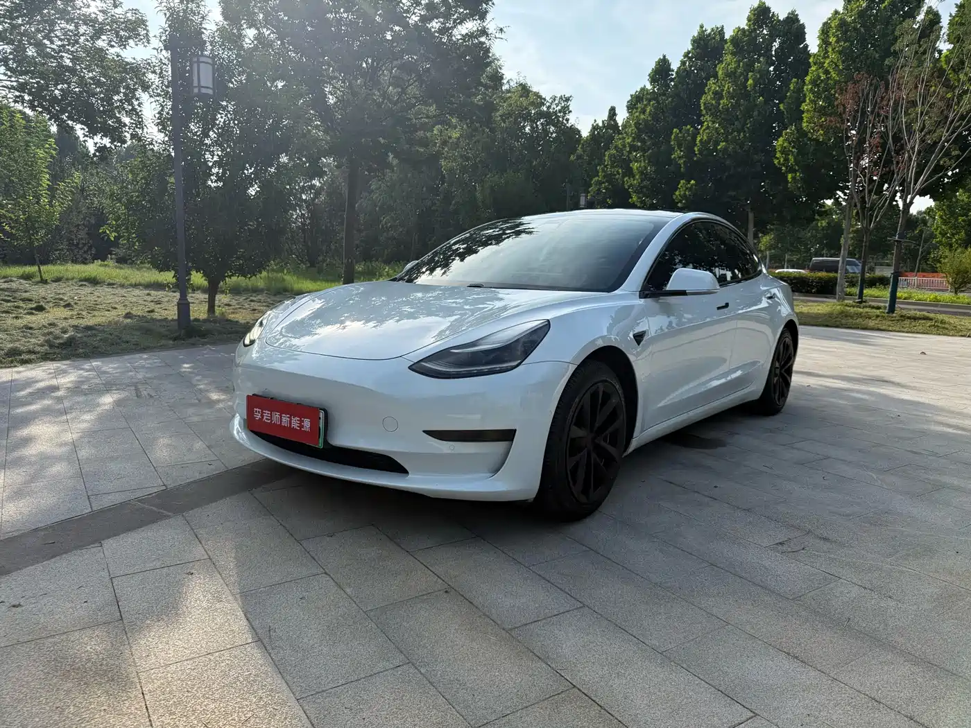  Tesla Model 3 2020 Standard Range Rear-Wheel Drive Upgrade