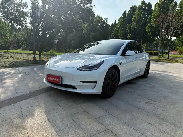 Tesla Model 3 2020