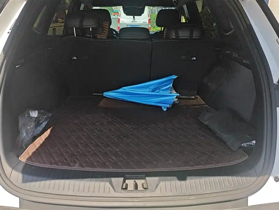 BYD Song Pro New Energy 2025 2nd Generation Smart Drive Edition DM-i 115KM Surpassing Type фото 4