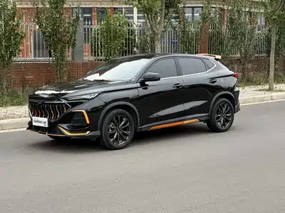 Changan Oshan X5