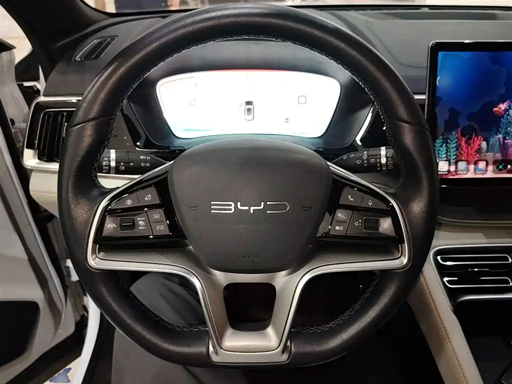 BYD Song PLUS PHEV 2023 Champion Edition DM-i 110KM Flagship PLUS фото 11