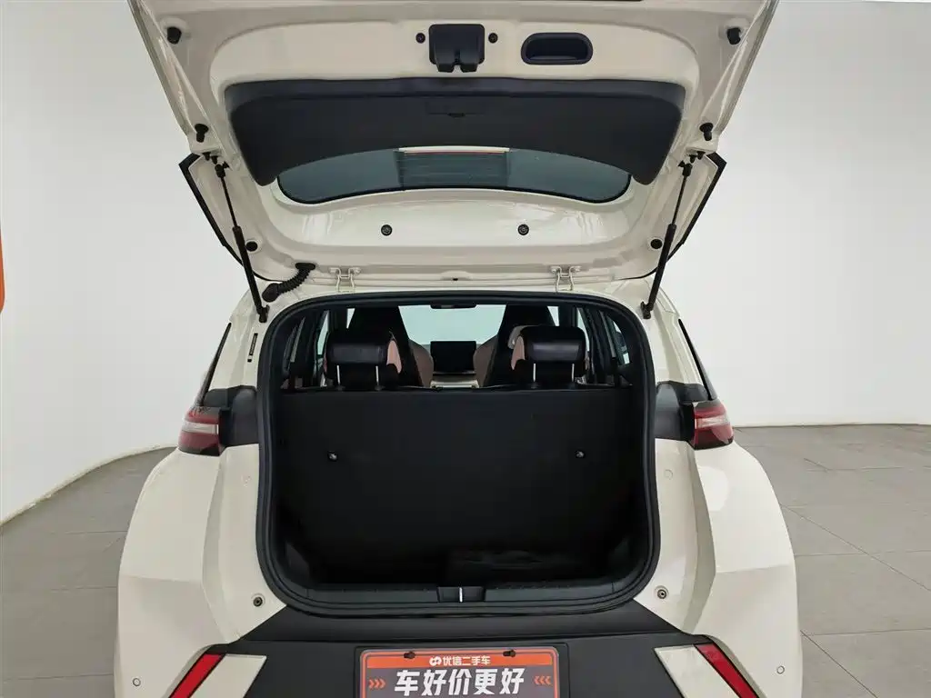 BYD Seagull 2023 Vitality Edition фото 16