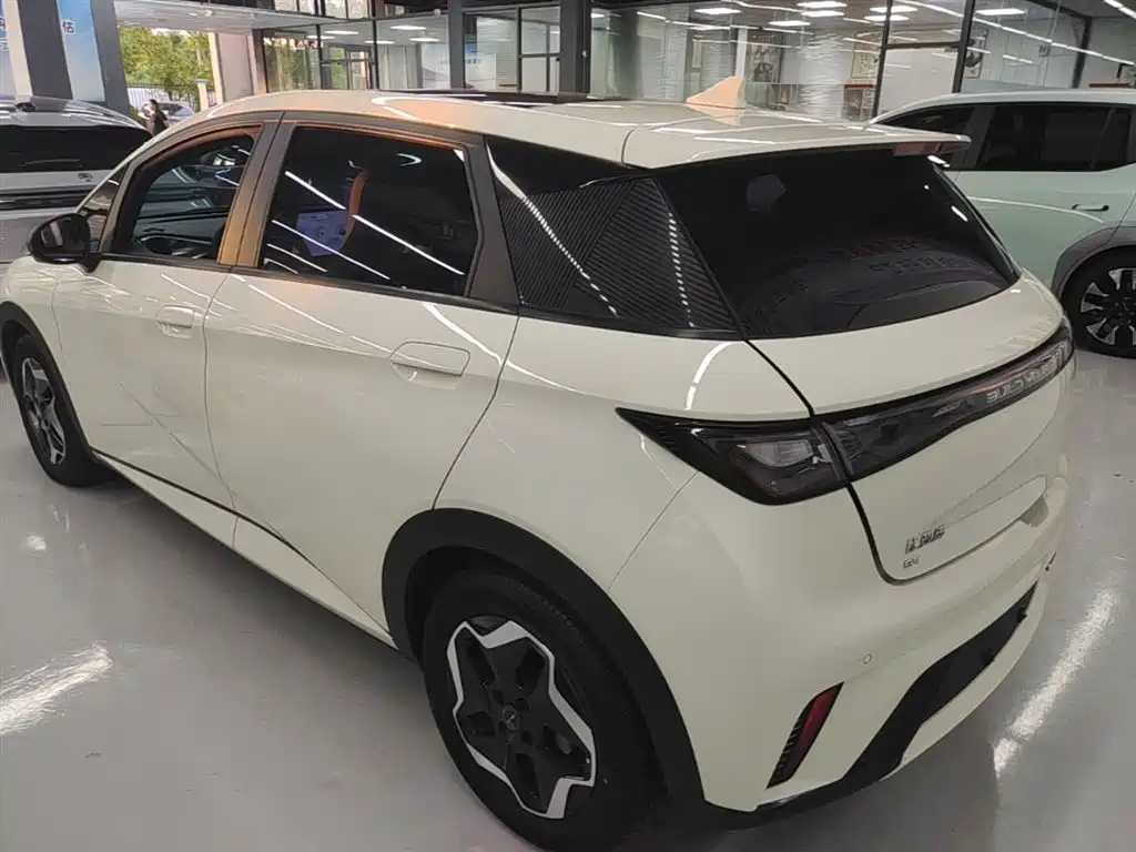BYD Dolphin 2021 Model 405km Fashion Edition фото 23