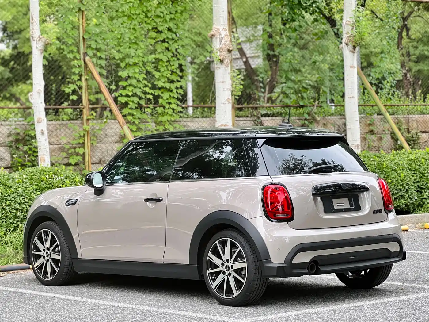 MINI MINI 2023 2023 1.5T COOPER Artist