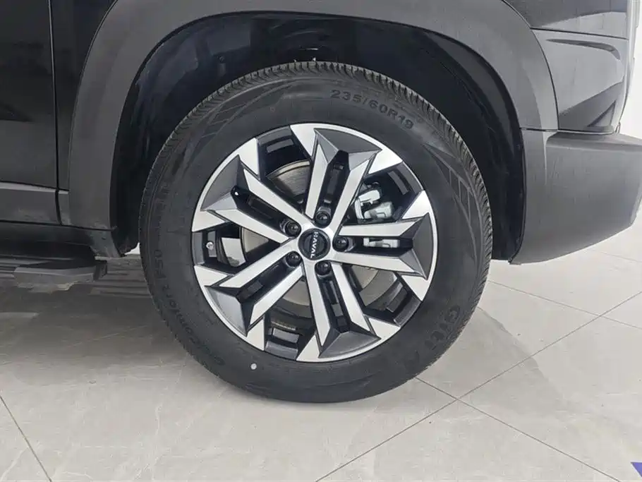Haval Big Dog 2024 1.5T DCT Border Collie Edition фото 6