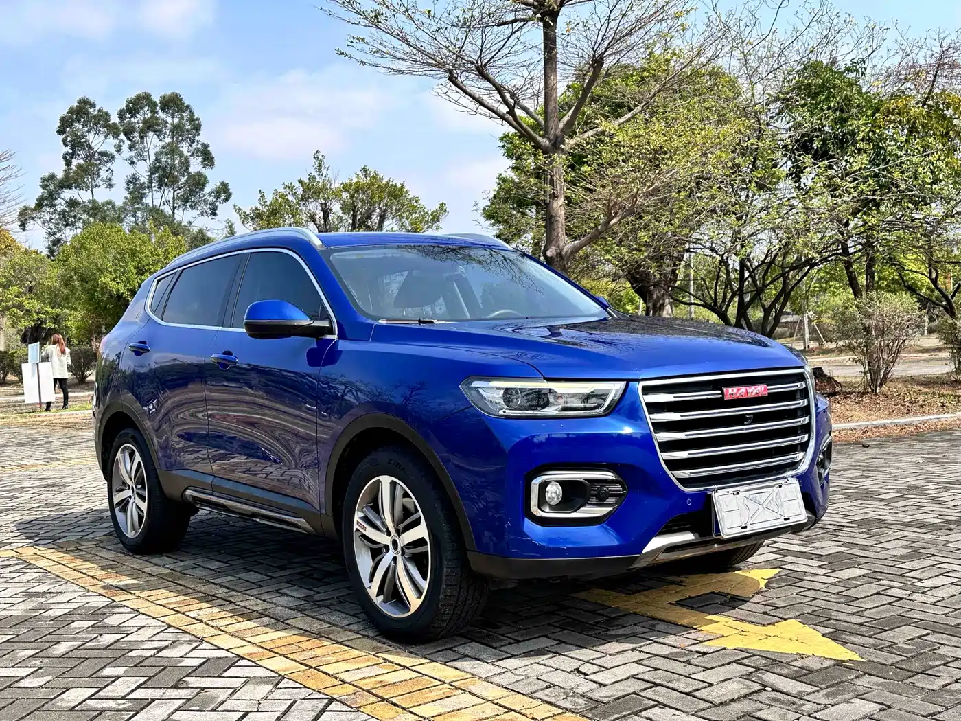 Haval H6 2018 Red Label 2.0T Auto Luxury фото 3