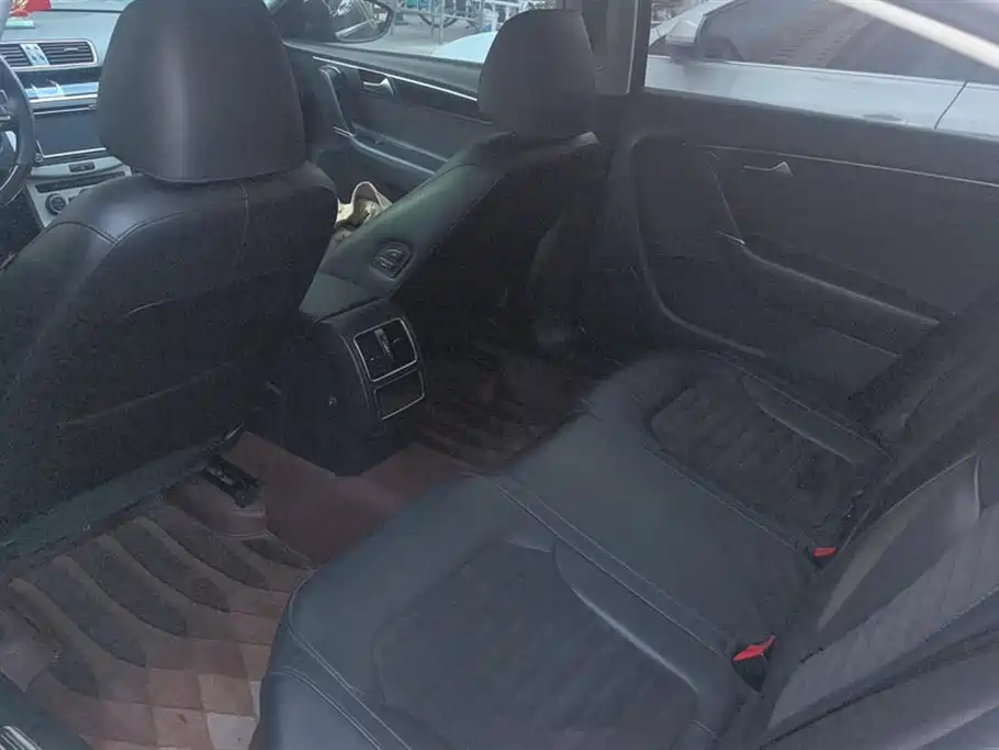 Volkswagen Magotan 2016 1.8TSI Smart Luxury фото 11