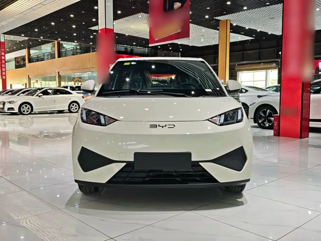 BYD Seagull 2026 2025 Smart Drive Edition 305km Vitality Version