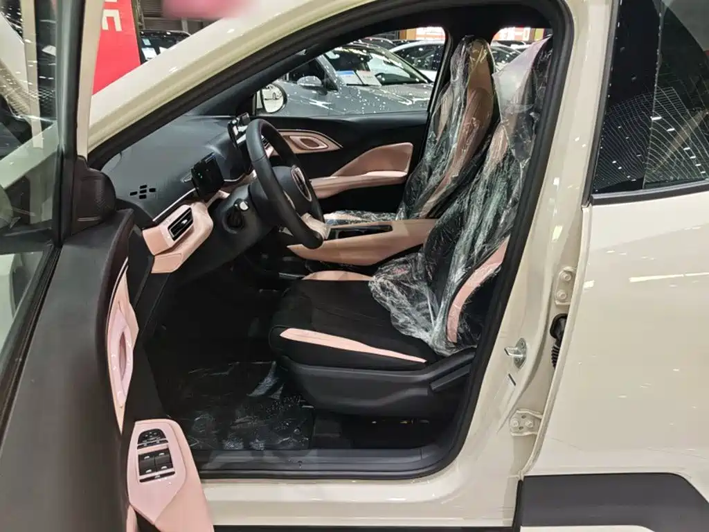 BYD Seagull 2026 2025 Smart Drive Edition 305km Vitality Version