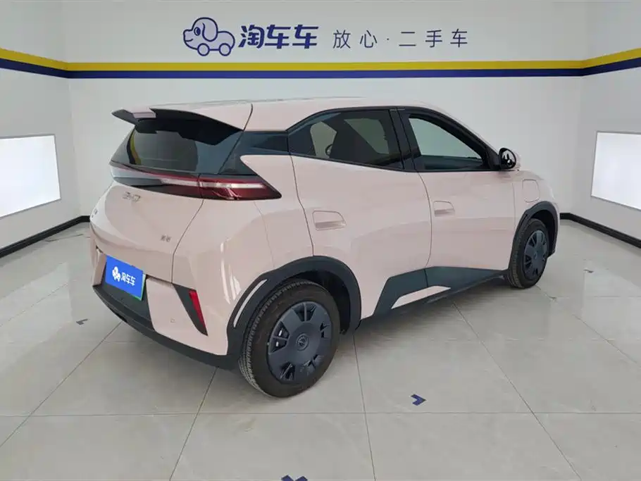 BYD Seagull 2025 Smart Drive Edition 305km Vitality Version фото 3