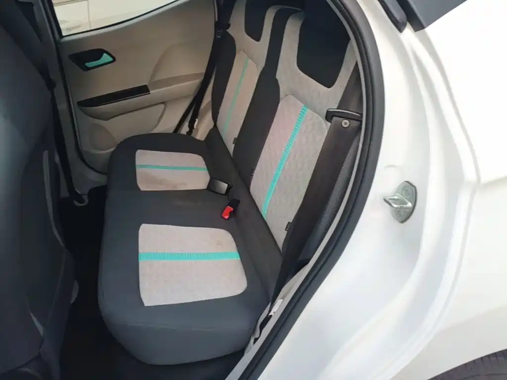 JMCG New Energy Little Kirin 2025 2024 201km Comfort Model