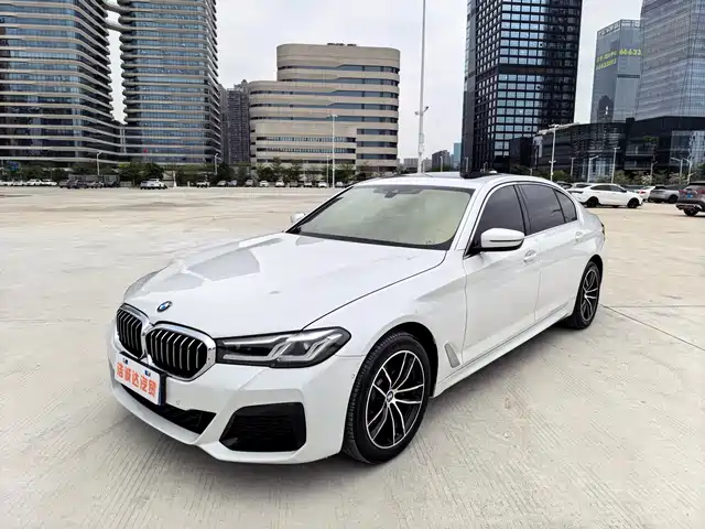 BMW 5 Рестайлинг, 525Li, M Спорт-пакет