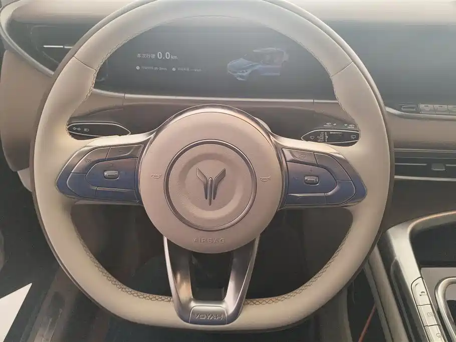 Voyah Auto VOYAH FREE 2021 4WD Extended Range Launch Edition Exclusive Luxury Package фото 15