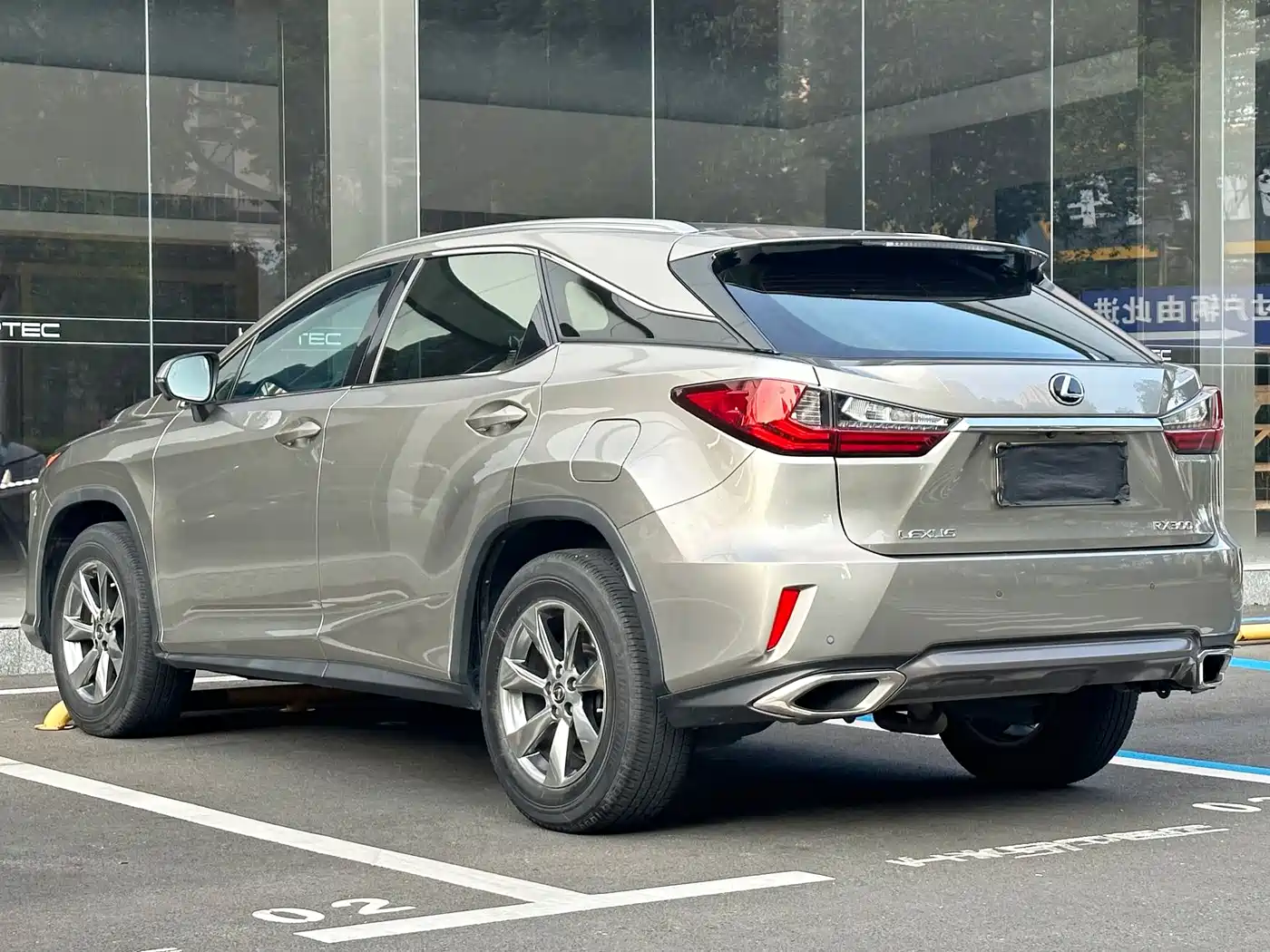LEXUS RX