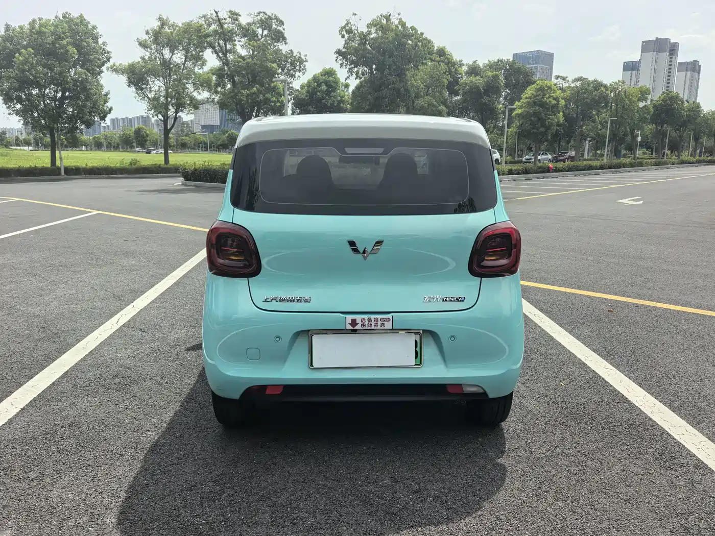 Фото 6 - Wuling Motors Hongguang MINIEV