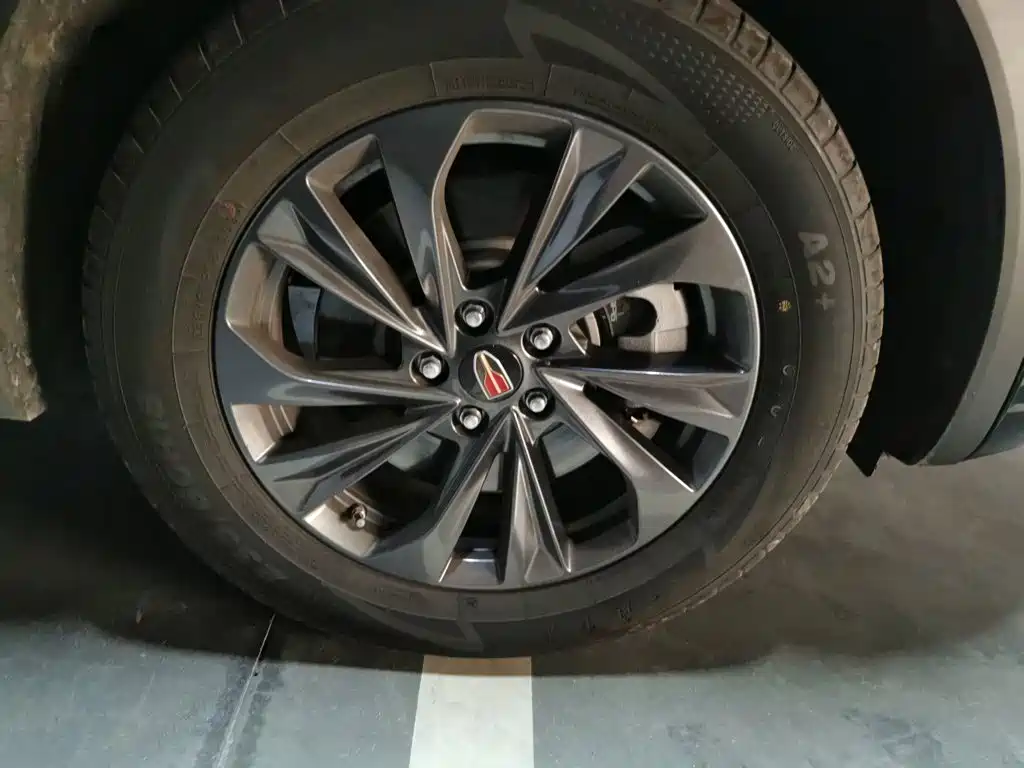 Hongqi HS5 2025 2025 2.0T 2WD Qixiang Pro
