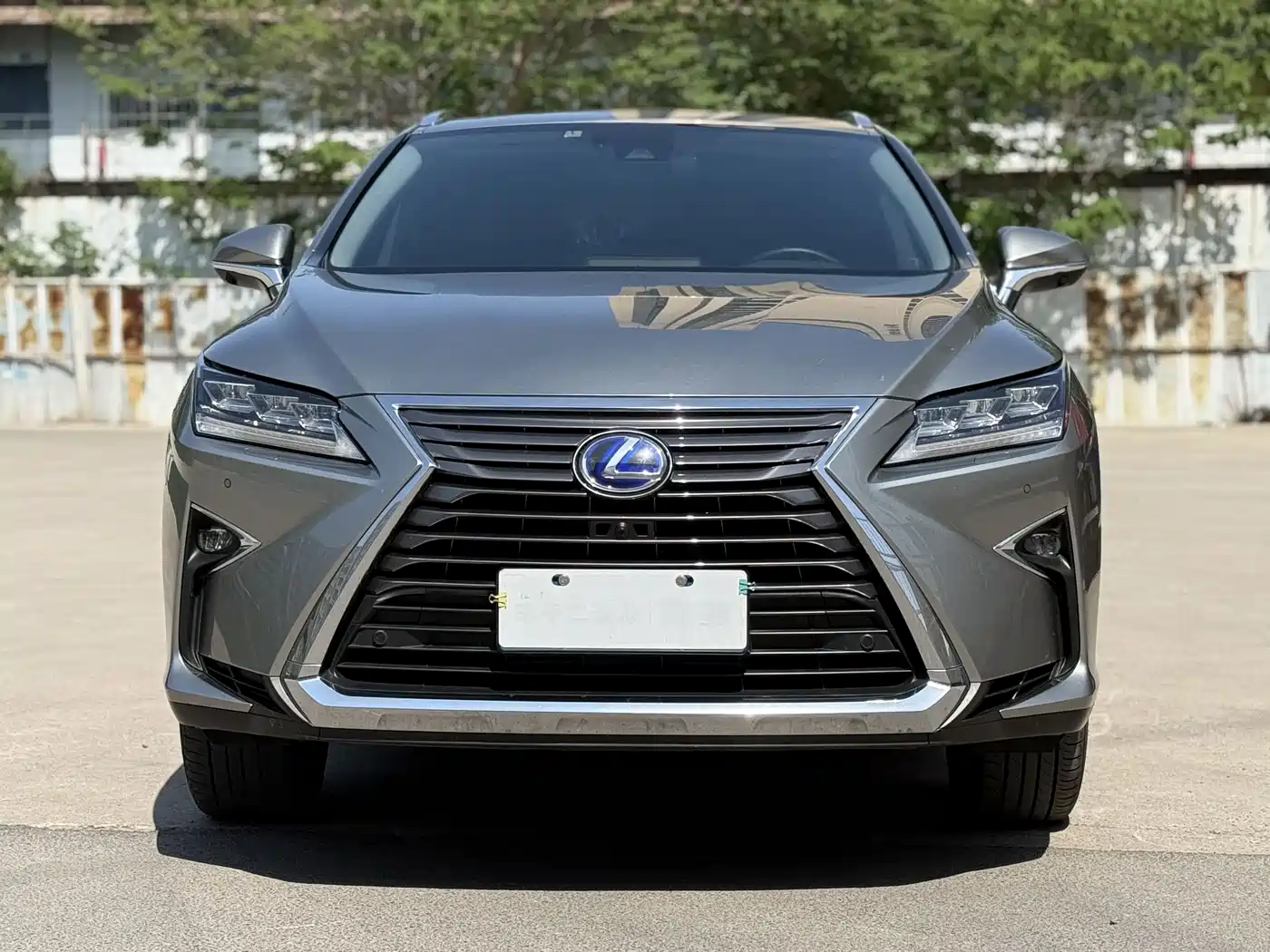 Lexus RX 2016 450h 4WD Elegance Edition фото 2
