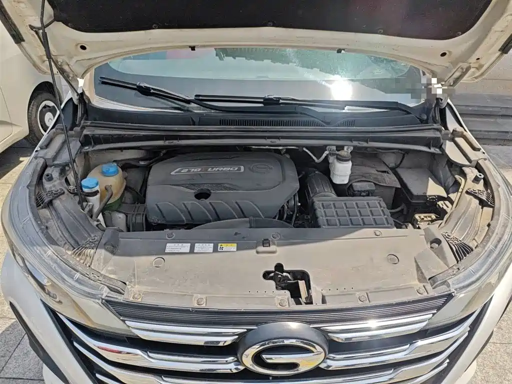 GAC Trumpchi Trumpchi M6 2021 270T DCT Luxury Edition (7-Seater) фото 11