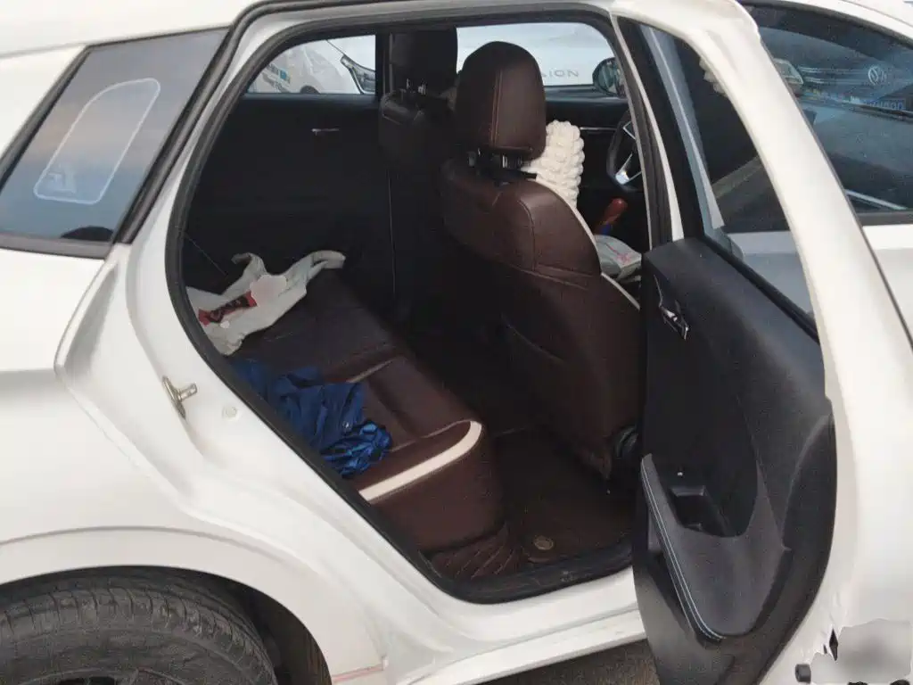 BYD e2 2021 2021 Standard