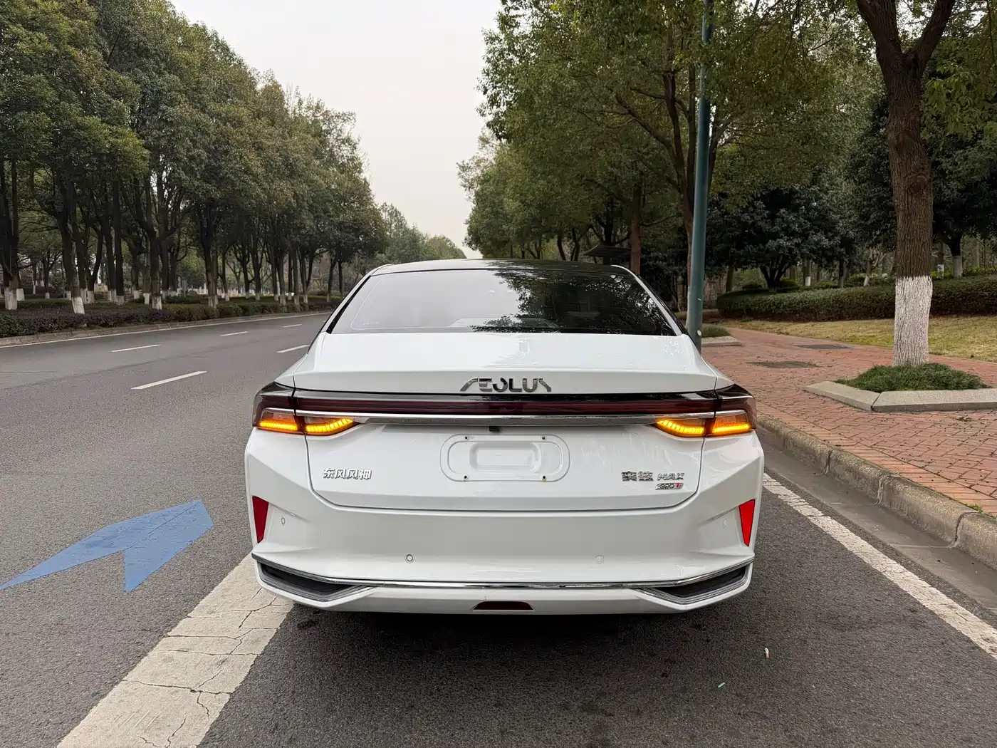 Dongfeng Aeolus Yixuan MAX 2023 2023 1.5T Extraordinary Cool Dad Edition