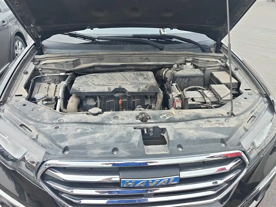 Haval H6 Coupe 2018 Blue Label 1.5T Automatic 2WD Ultra Luxury фото 10