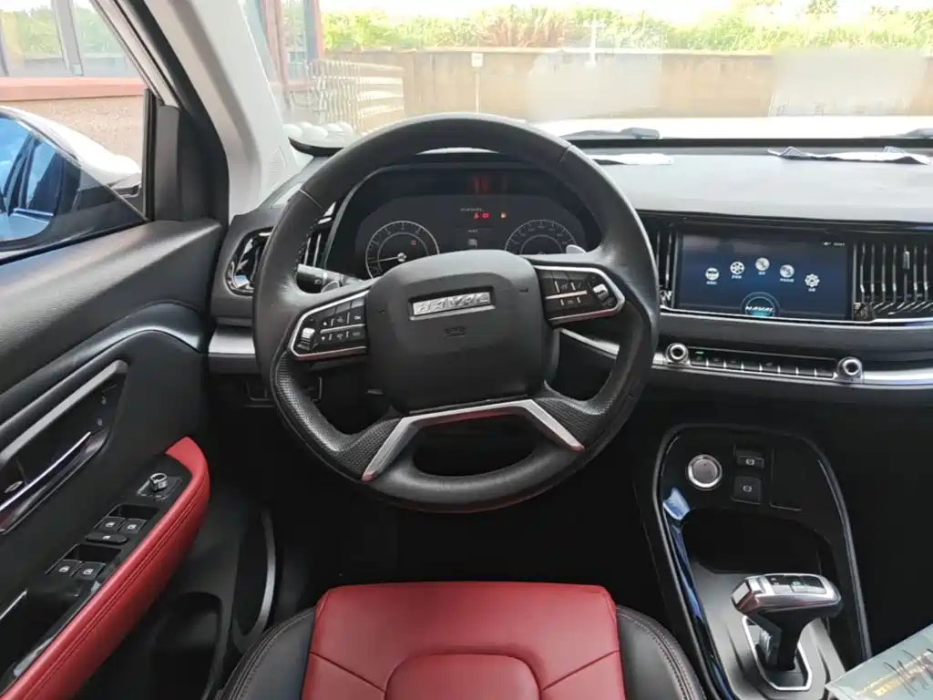 صورة 11 - Haval H2s