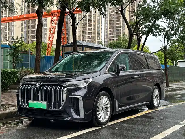 Voyah Auto Voyah Dreamer 2024