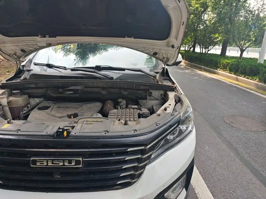 Bisu Auto Bisu T5 2017 2017 1.5T Manual Luxury