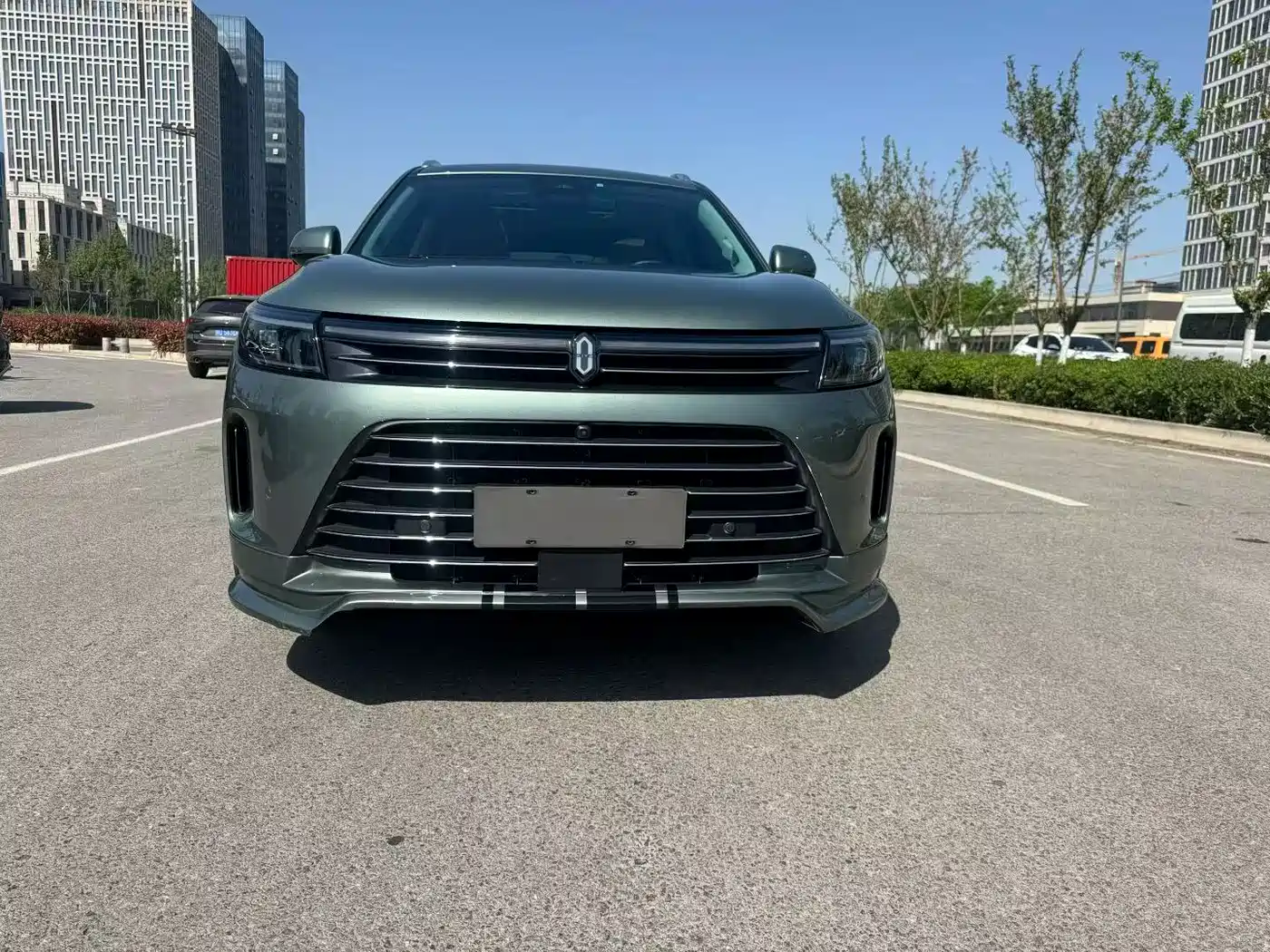 AITO Wenjie AITO M7 2022 1.5T AWD Luxury Edition фото 3