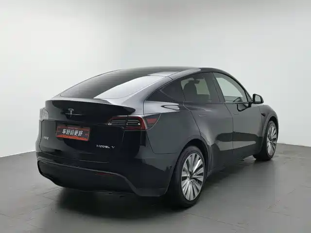 Tesla Model Y 2022 Rear-Wheel Drive Version — фото 2