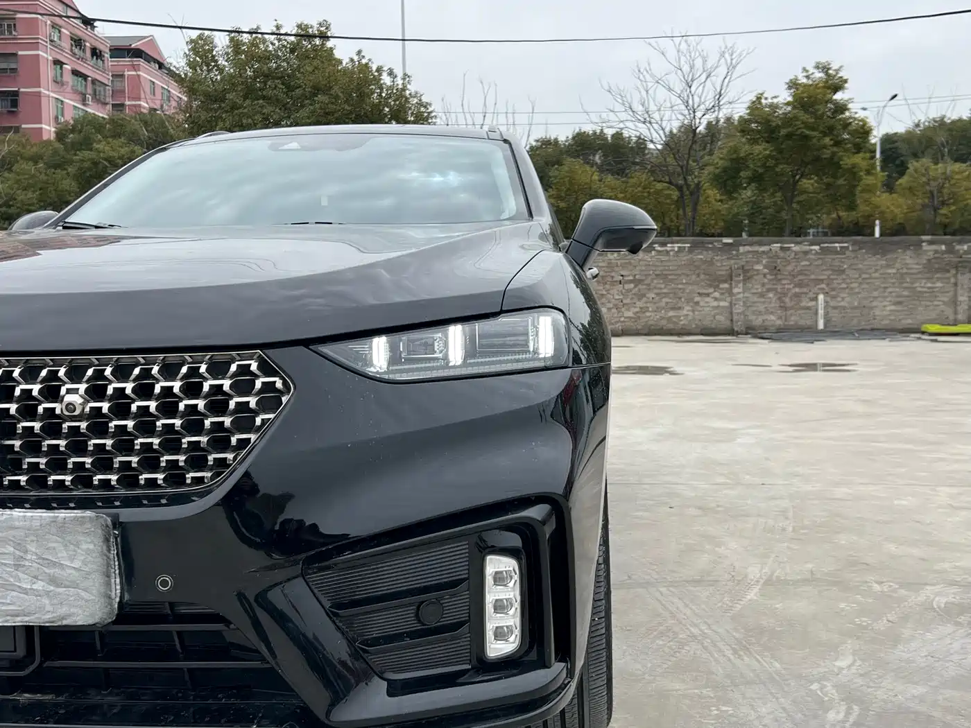 WEI PAI WEI BRAND VV7