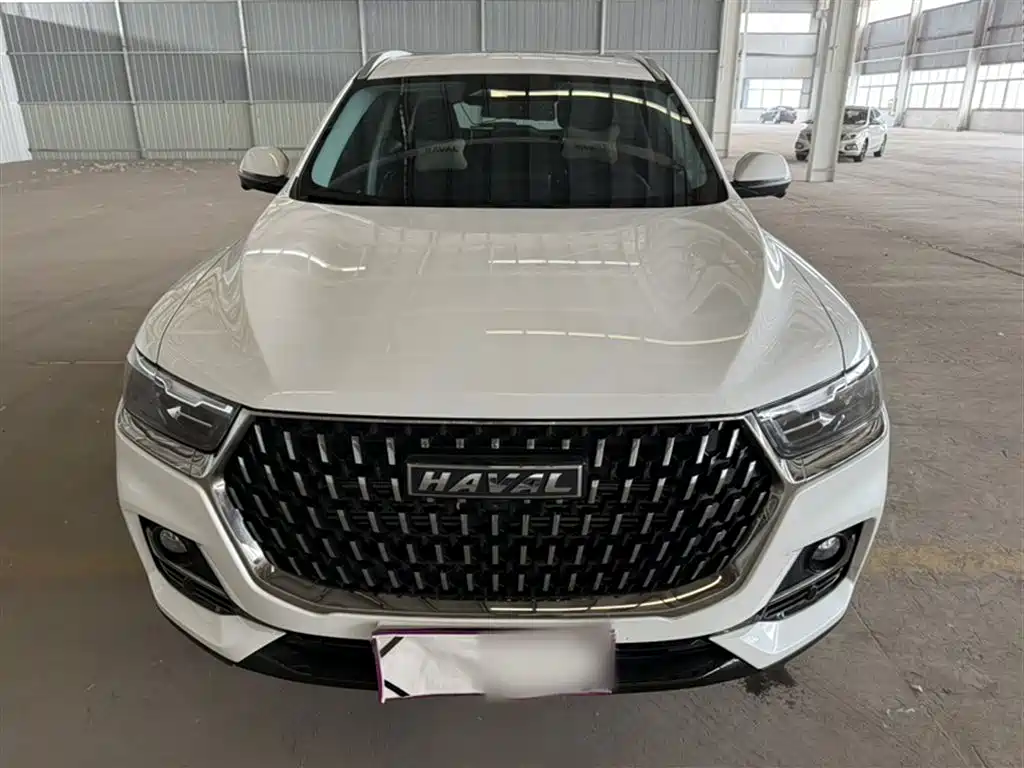 Haval H6 2023 National Trend Edition 1.5T Automatic Champion фото 14