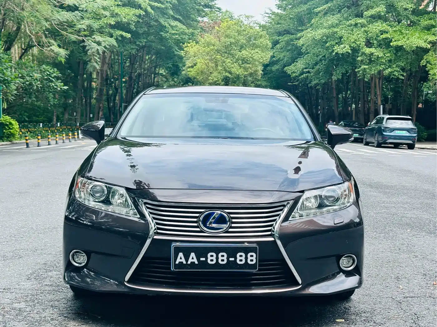 Lexus ES 2014 300h Elite Edition фото 2