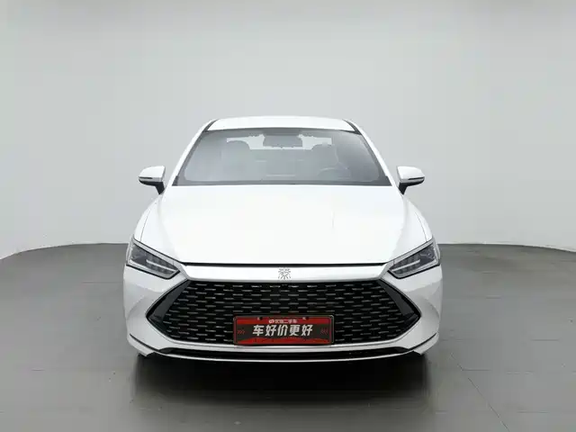 BYD Qin PLUS 2024 Glory Edition DM-i 55KM Leading — фото 3