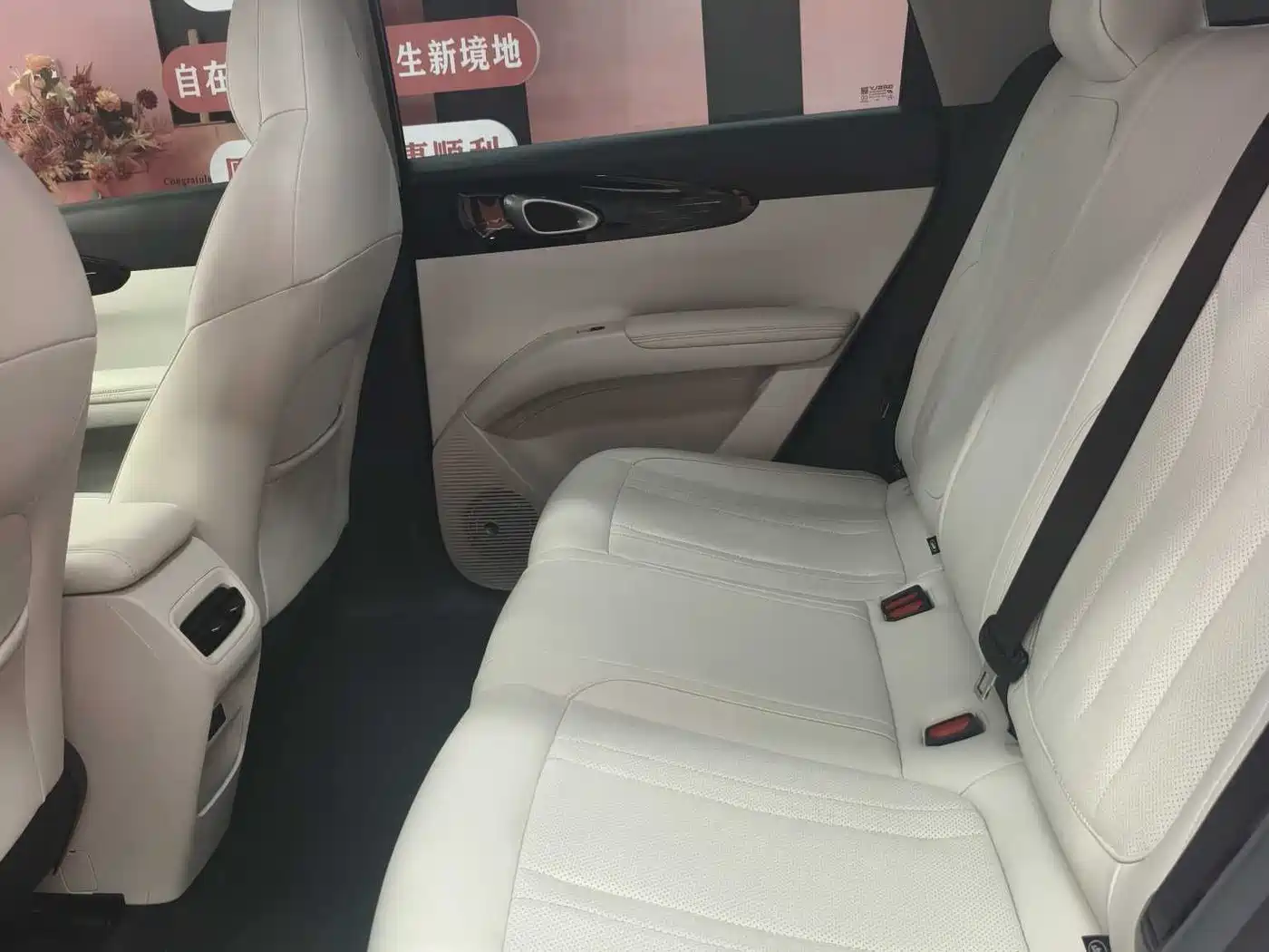 Geely Galaxy Starry Wish 2026 Model 310km Dream Edition фото 10