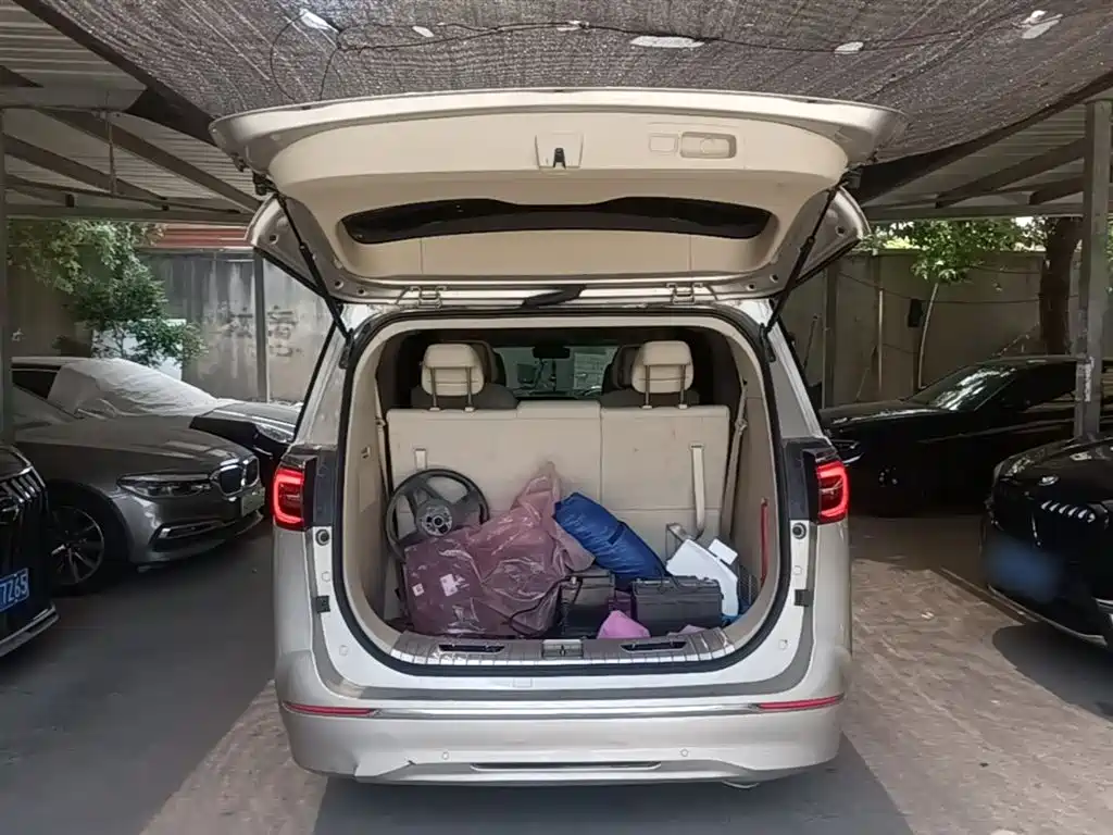 Buick GL8 2022 ES Landmark 653T Premium фото 19