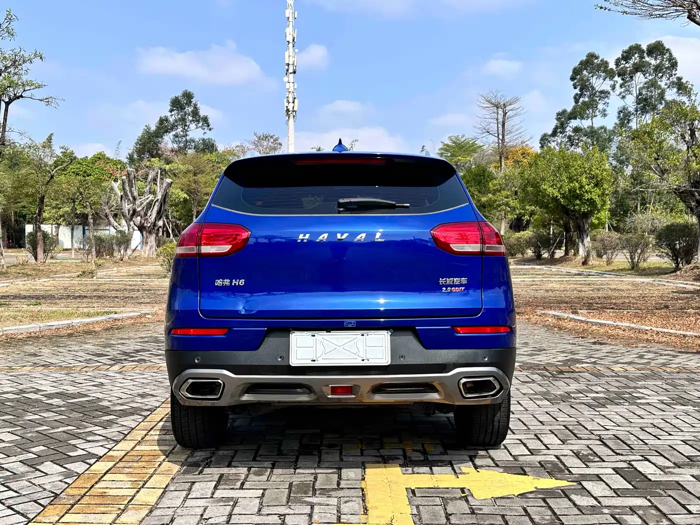 Haval H6 2018 Red Label 2.0T Auto Luxury фото 8