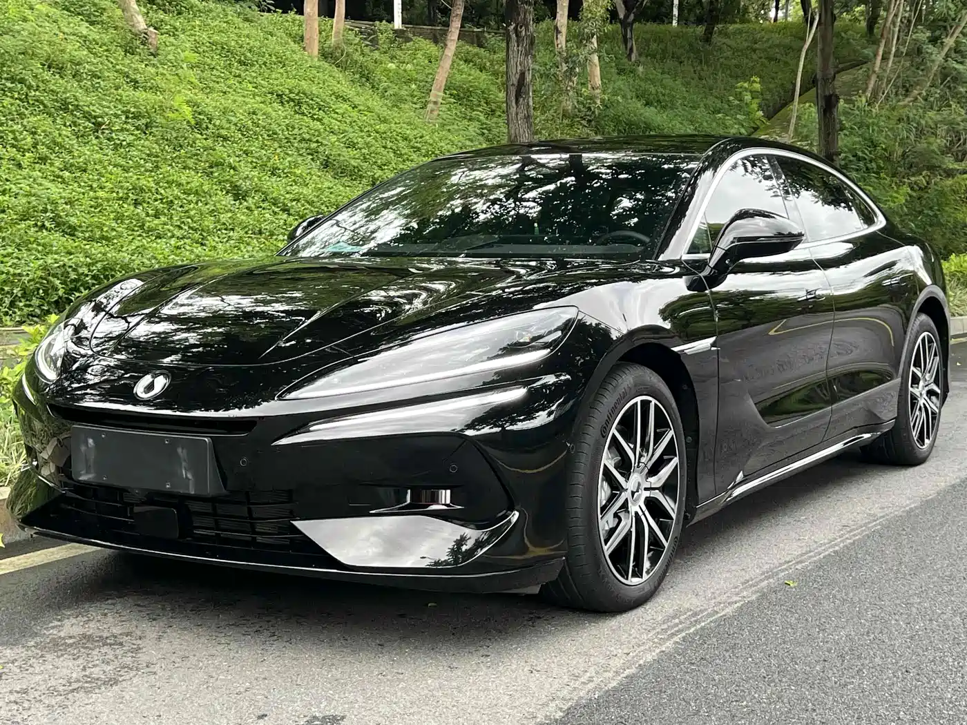 Denza Z9 2024 Model 1100km AWD Pro Edition