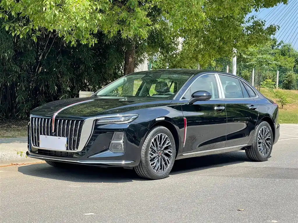 Hongqi H5 2025 2.0T Automatic Flag Celebration 500,000 Units Anniversary Edition фото 2