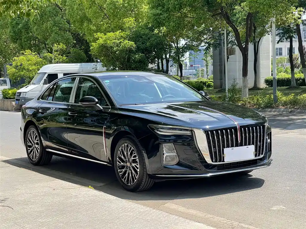 Hongqi H5 2025 2.0T Automatic Flag Celebration 500,000 Units Anniversary Edition фото 4