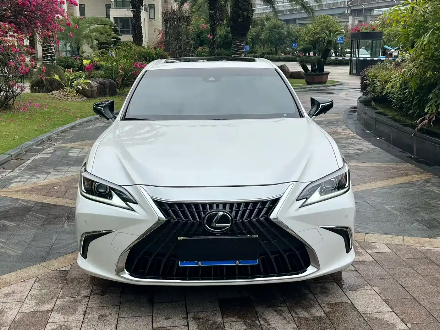 Lexus ES 2024 200 Premium Edition фото 2