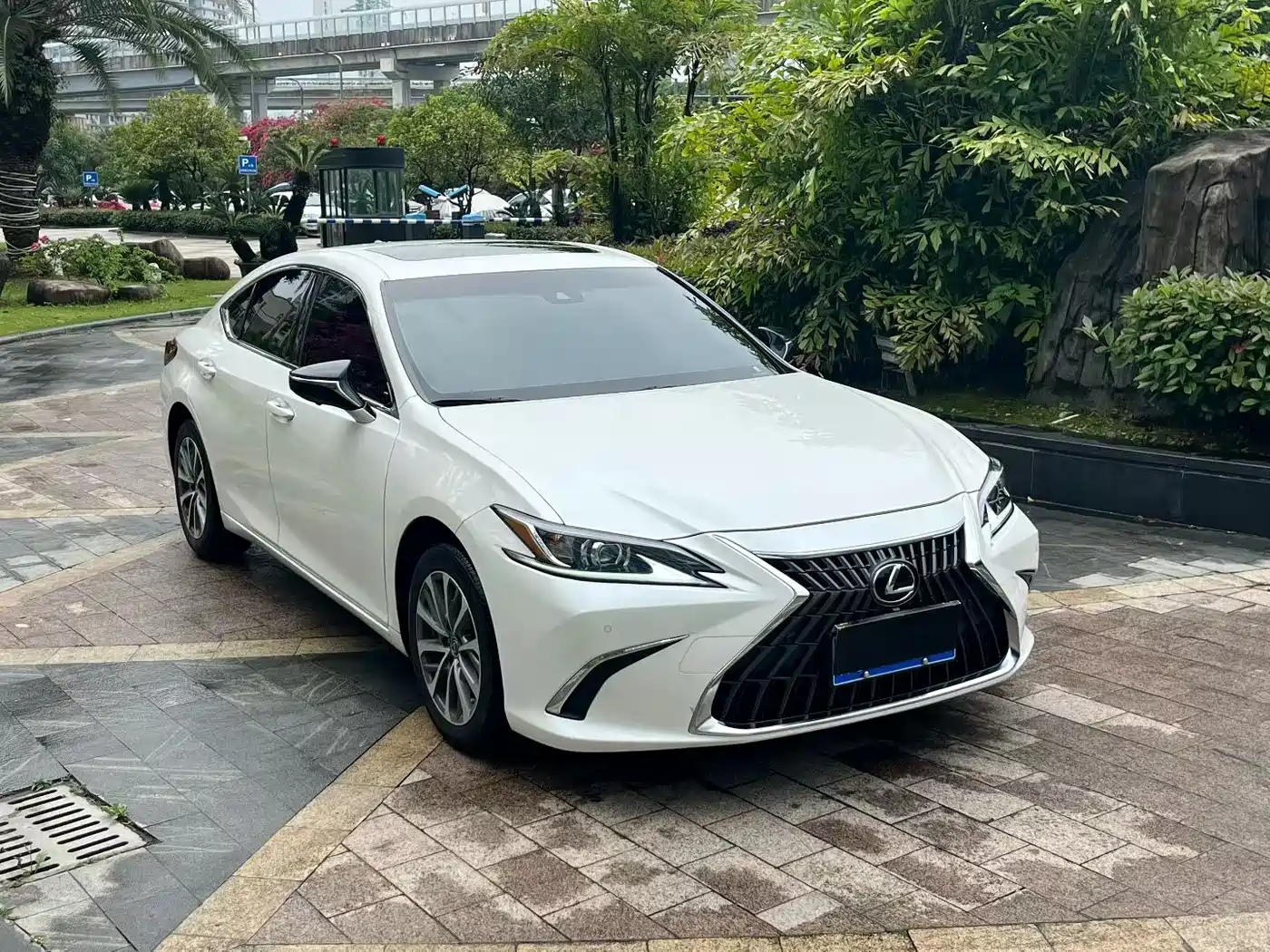 Lexus ES 2024 200 Premium Edition фото 3