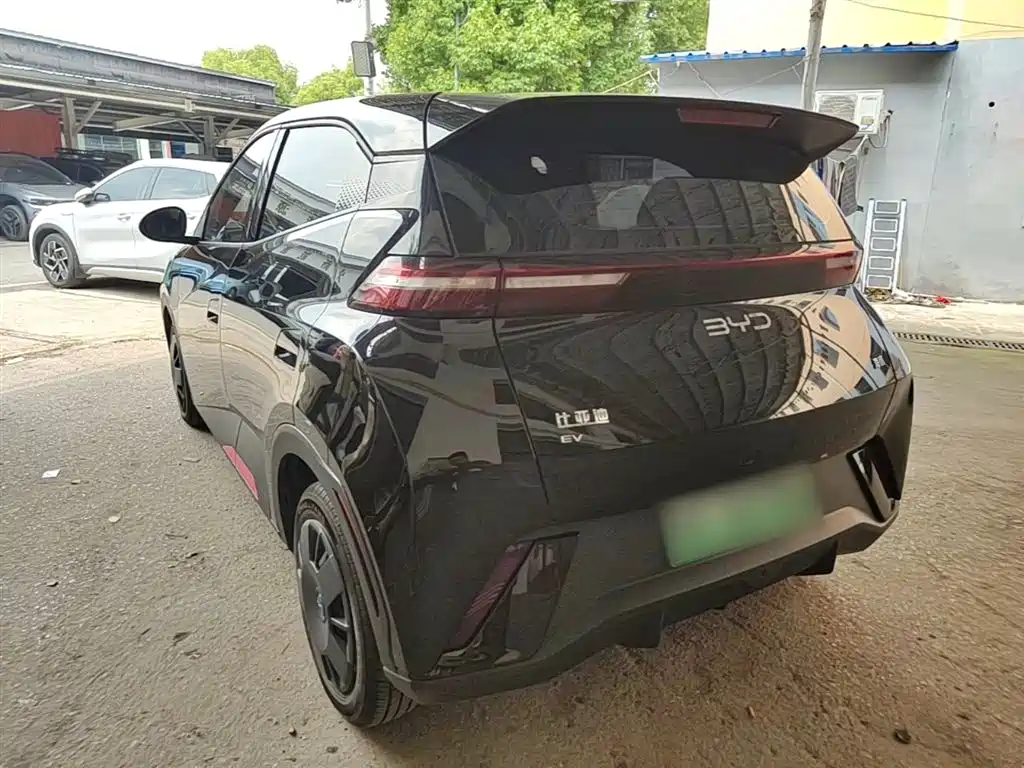 BYD Seagull 2024 Glory Edition 305km Vitality Edition фото 5